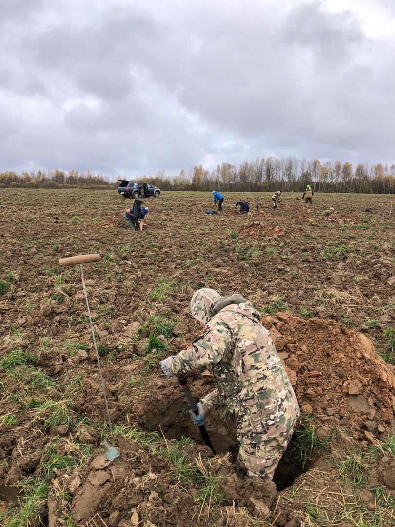 Подо Ржевом нашли останки 12 красноармейцев, погибших в 1942 году