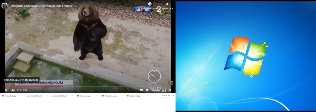 О тверском авиамедведе рассказали на французском телевидении О тверском авиамедведе рассказали на французском телевидении