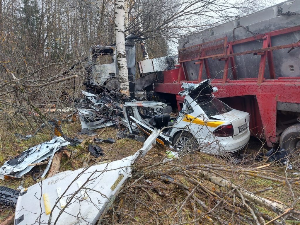 Из-за кабана на трассе М-9 в Тверской области разбился водитель легковушки
