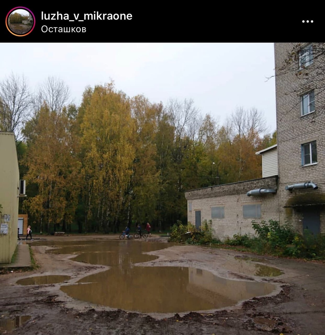 У лужи в Осташкове появился свой Instagram