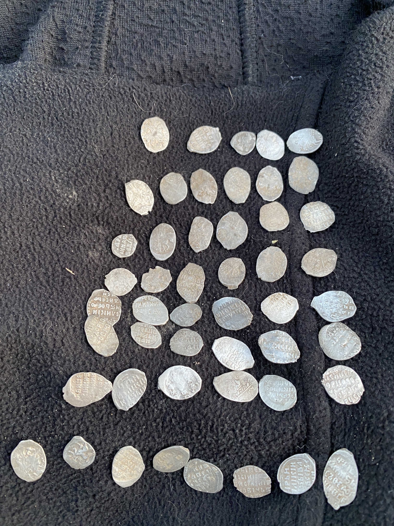 Монеты шести царей: кладоискатели нашли в Тверской области древний кошелёк