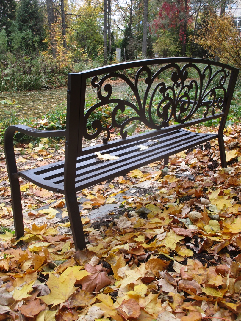 Ботанический сад похвастался фотографиями осенних цветов