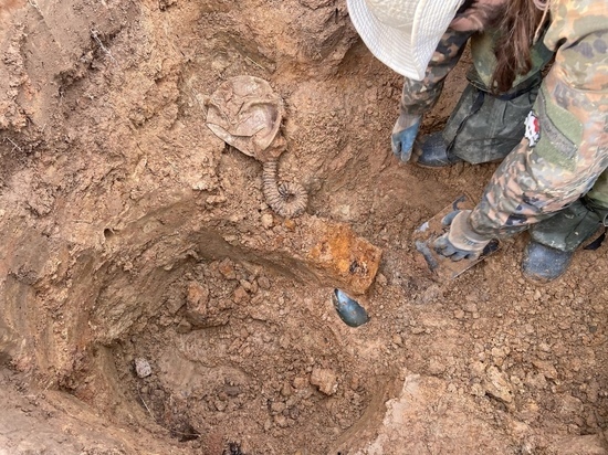 Московские поисковики нашли останки красноармейца в Тверской области