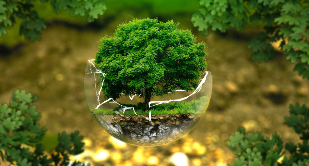 Представители из Тверской области могут принять участие в национальной премии «Хрустальный компас»