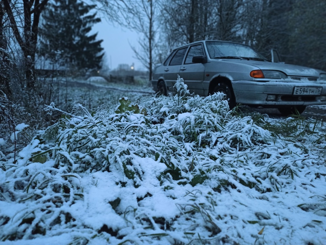 Жители Тверской области делятся фотографиями первого снега
