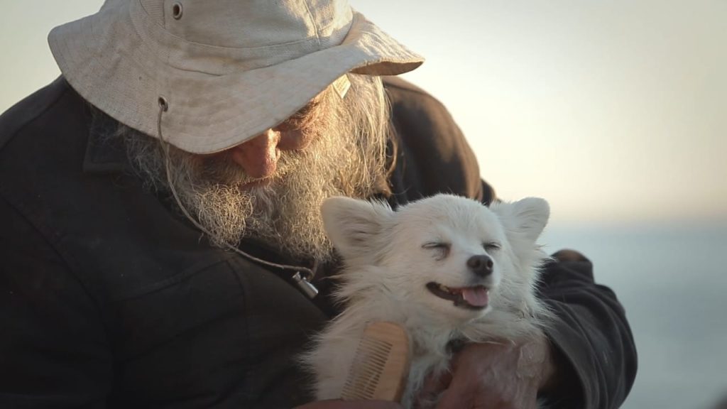 Фильм "Где ты, Адам", о жизни монахов на священной горе Афон, покажут в Твери