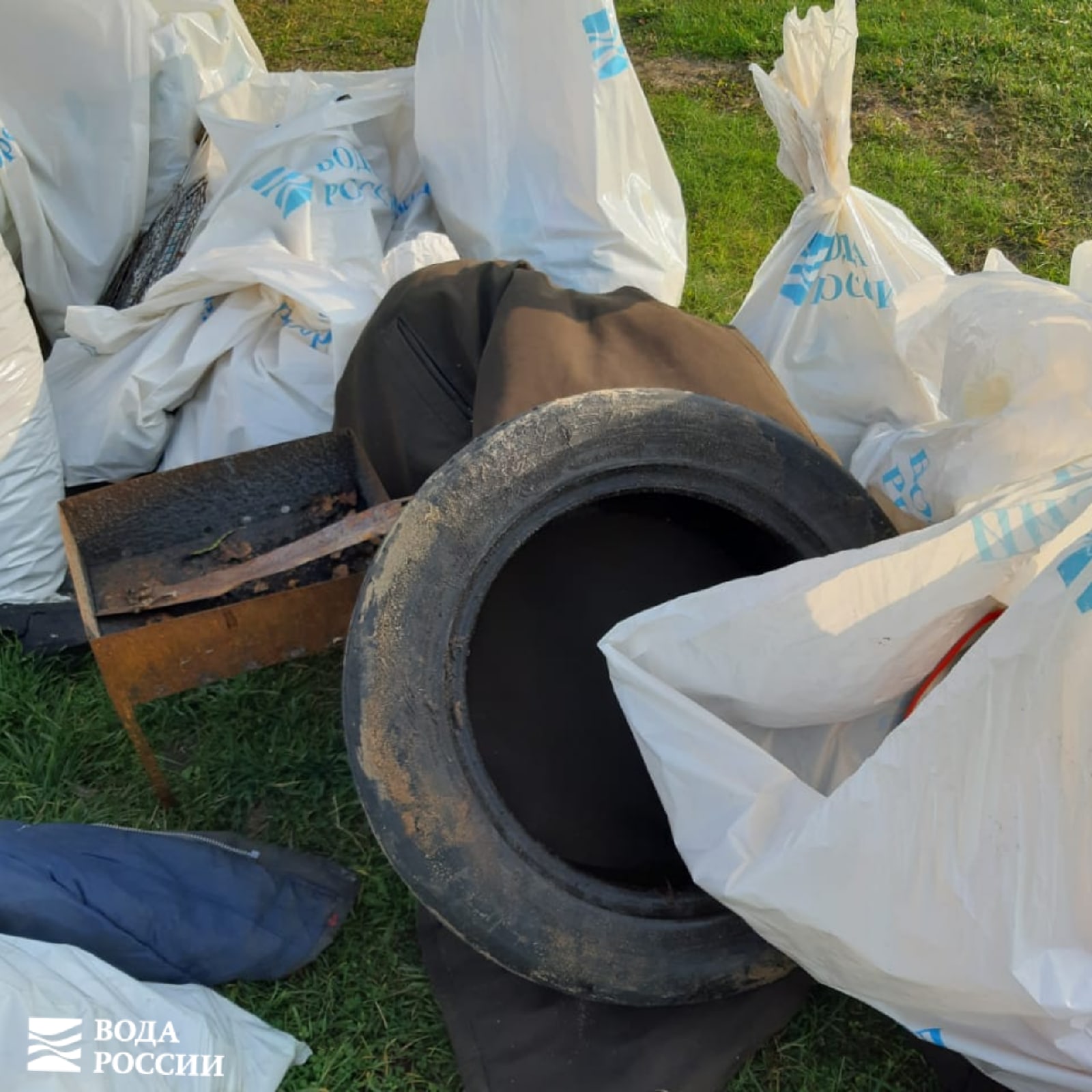 Звезда "Уральских пельменей" Юлия Михалкова помогла очистить берег Волги в Тверской области