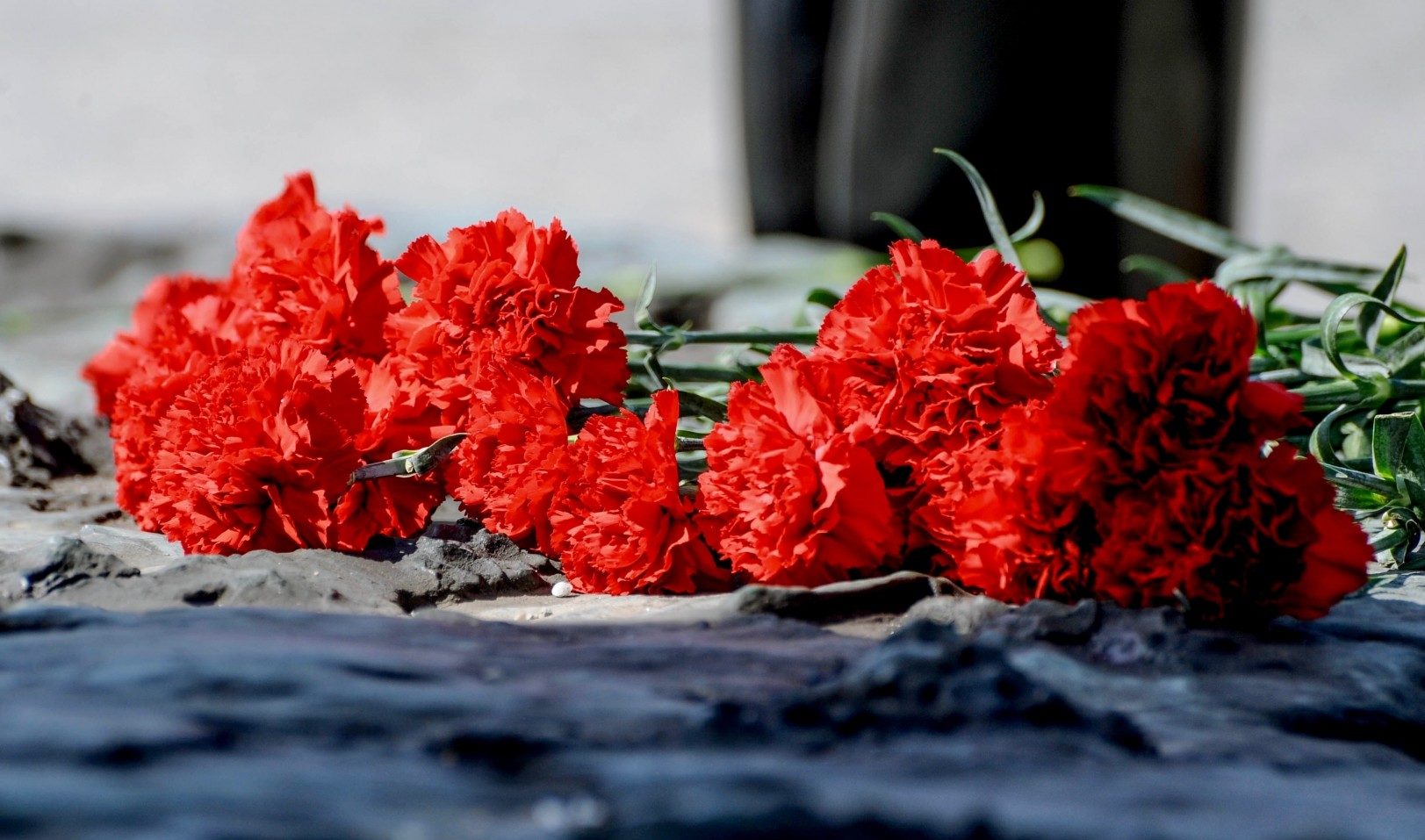 Поисковики Тверского политеха восстановили имена 24 без вести пропавших воинов Поисковики Тверского политеха восстановили имена 24 без вести пропавших воинов