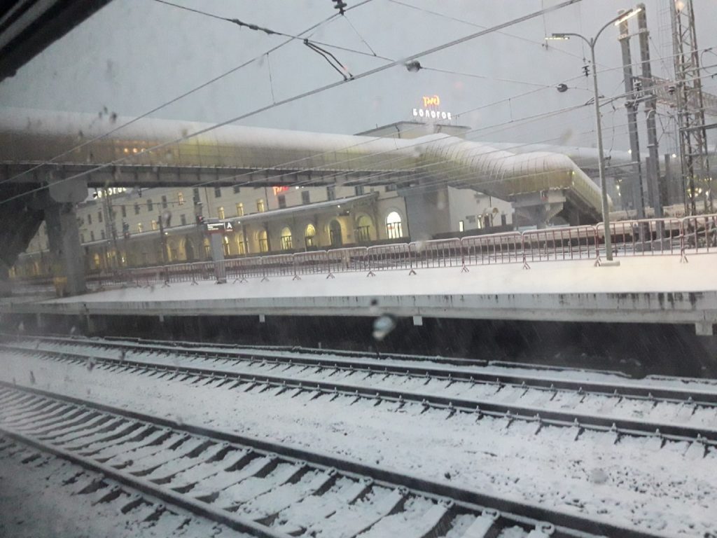 Жители Тверской области делятся фотографиями первого снега