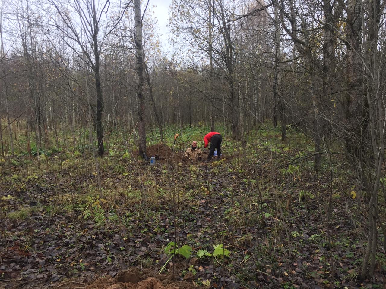 Останки семи красноармейцев в тулупах и валенках нашли в Тверской области