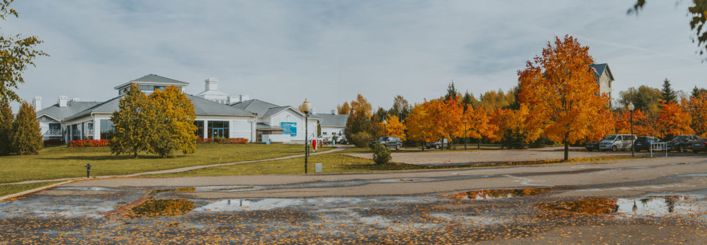 Каникулы в "Завидово": творчество, спорт и отличное настроение