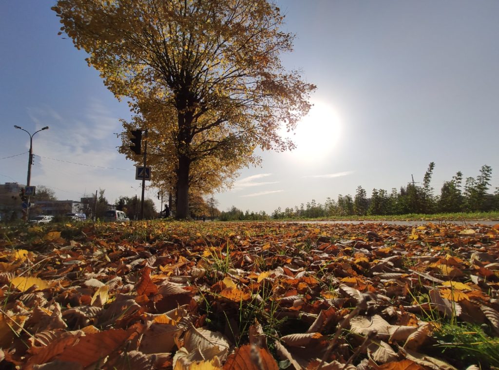 Погода порадует Тверскую область тёплыми солнечными выходными