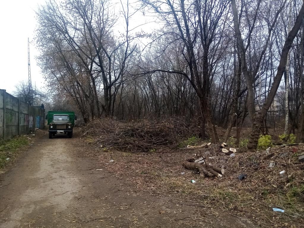 В Твери вырубают заросли на берегу Тьмаки В Твери вырубают заросли на берегу Тьмаки