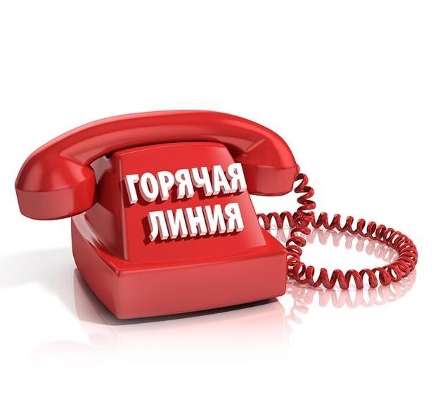 В Тверской области заработает "горячая линия" по профилактике ВИЧ-инфекции В Тверской области заработает "горячая линия" по профилактике ВИЧ-инфекции