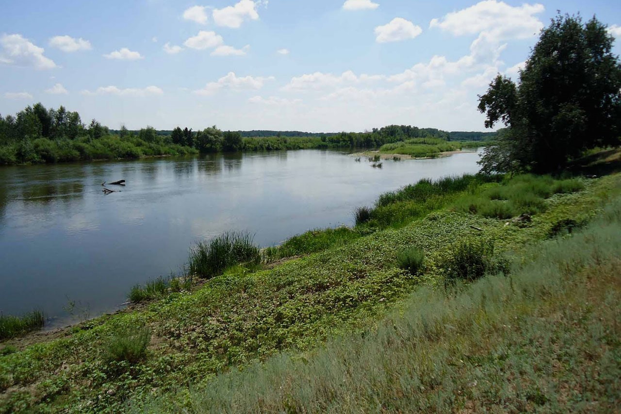 Около 140 километров береговой линии привели в порядок в Тверской области