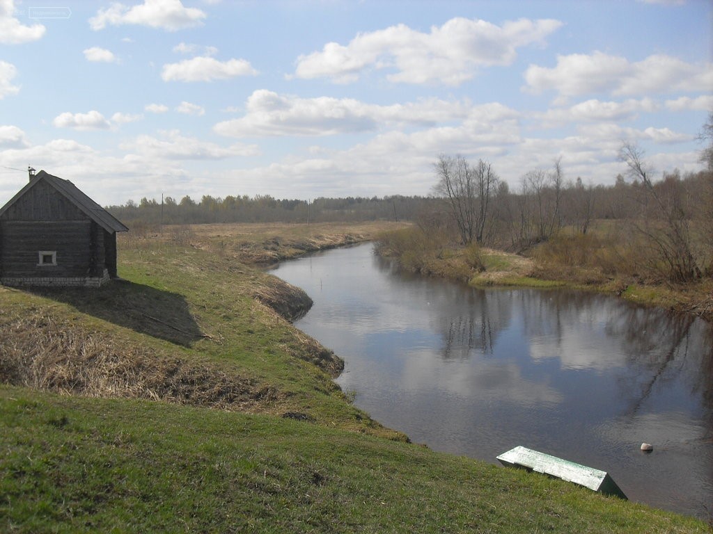 Около 140 километров береговой линии привели в порядок в Тверской области