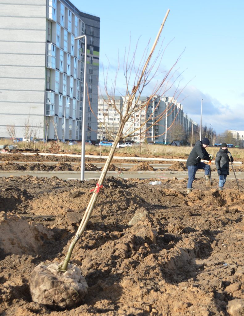 Новый сквер скоро откроют в микрорайоне Южный в Твери