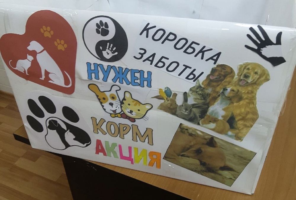 Молодёжь Вышневолоцкого округа запустила марафон добра Молодёжь Вышневолоцкого округа запустила марафон добра