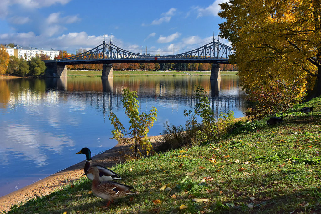 Еще один солнечный день ждет Тверскую область