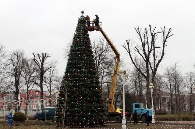 Одна из новогодних елей обойдется Твери почти в миллион рублей Одна из новогодних елей обойдется Твери почти в миллион рублей