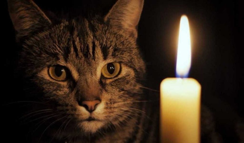 Несколько домов в Тверской области останутся без света на пять дней