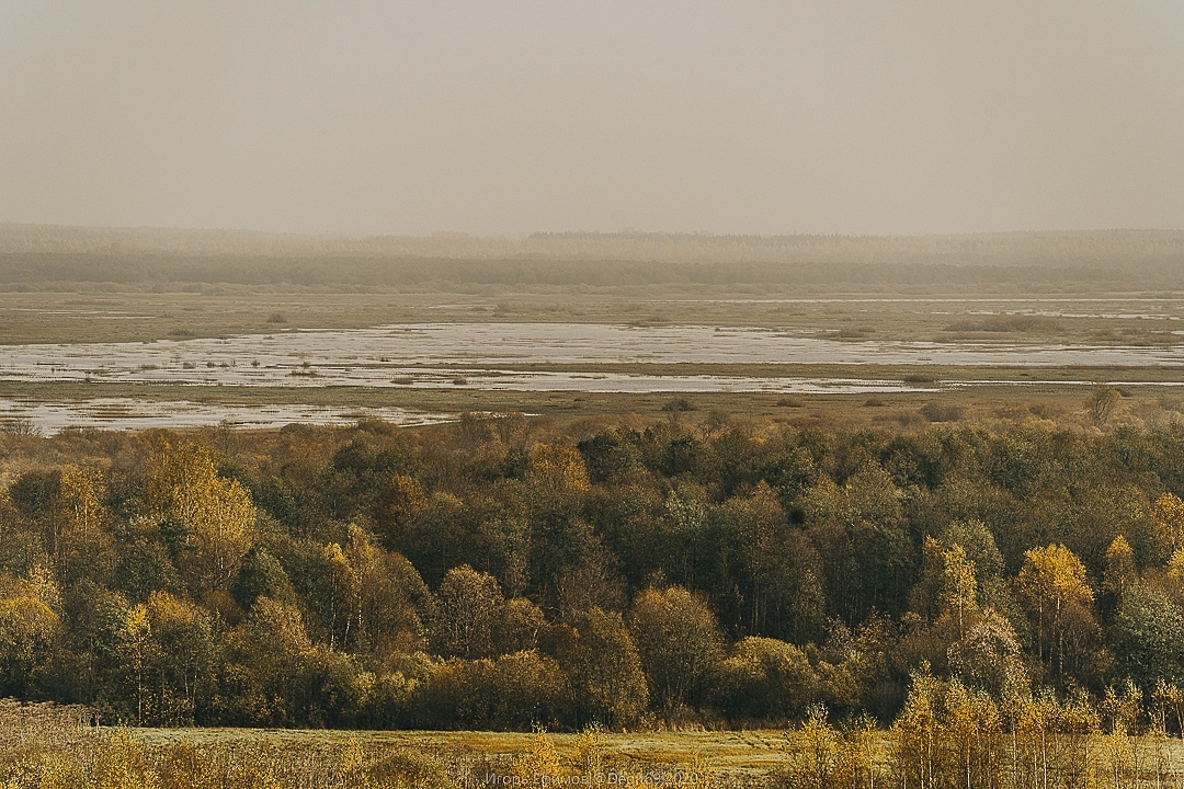 Тверской фотограф поделился кадрами золотой осени в Бежецком районе