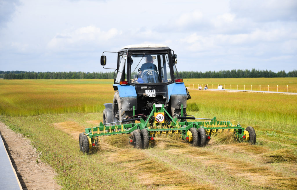 В Тверской области собрали весь картофель и почти все овощи