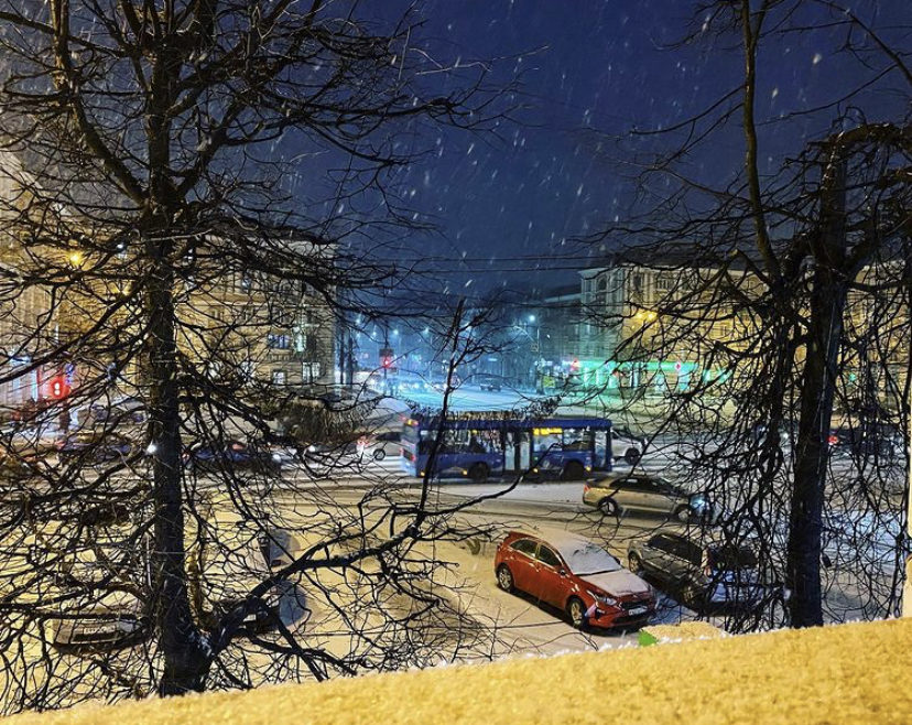 Жители Тверской области делятся в соцсетях фотографиями первого снега