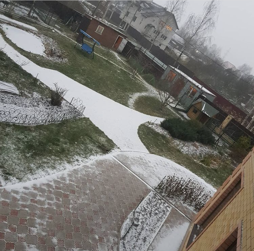 Жители Тверской области делятся в соцсетях фотографиями первого снега