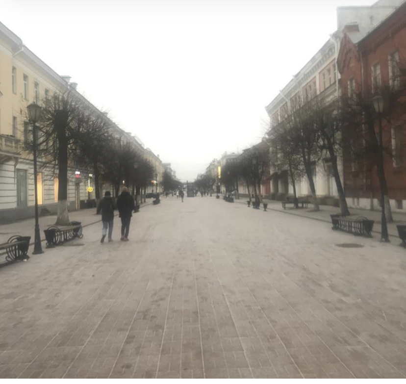 Жители Тверской области делятся в соцсетях фотографиями первого снега