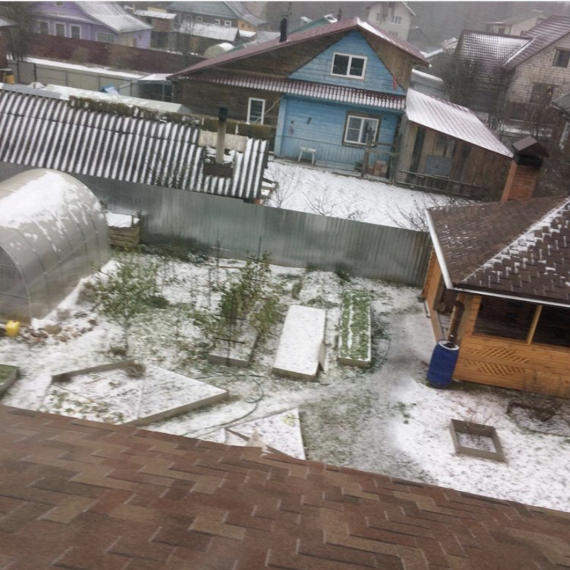 Жители Тверской области делятся в соцсетях фотографиями первого снега