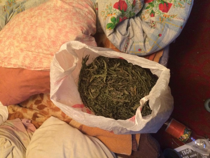 У жителя Тверской области нашли запасы конопли и марихуаны