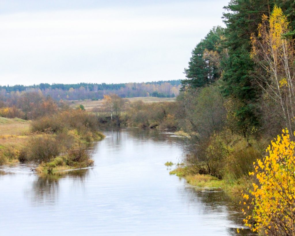 И целого зала мало: ударим трейлом по бездорожью и осенней хандре