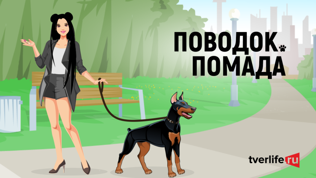 Уникальные архивы, "Первые", и креативные пушистики: смотрите специальные проекты "Тверьлайф"