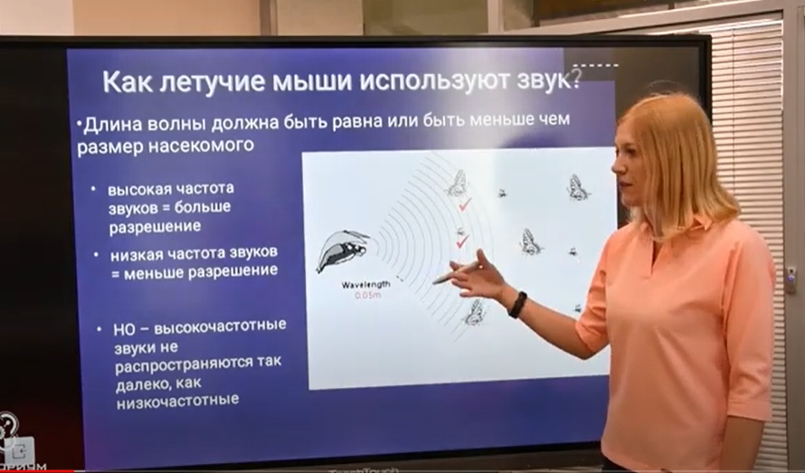 Учитель биологии из Твери вышла в финал всероссийского конкурса "Школьная наука" Учитель биологии из Твери вышла в финал всероссийского конкурса "Школьная наука"