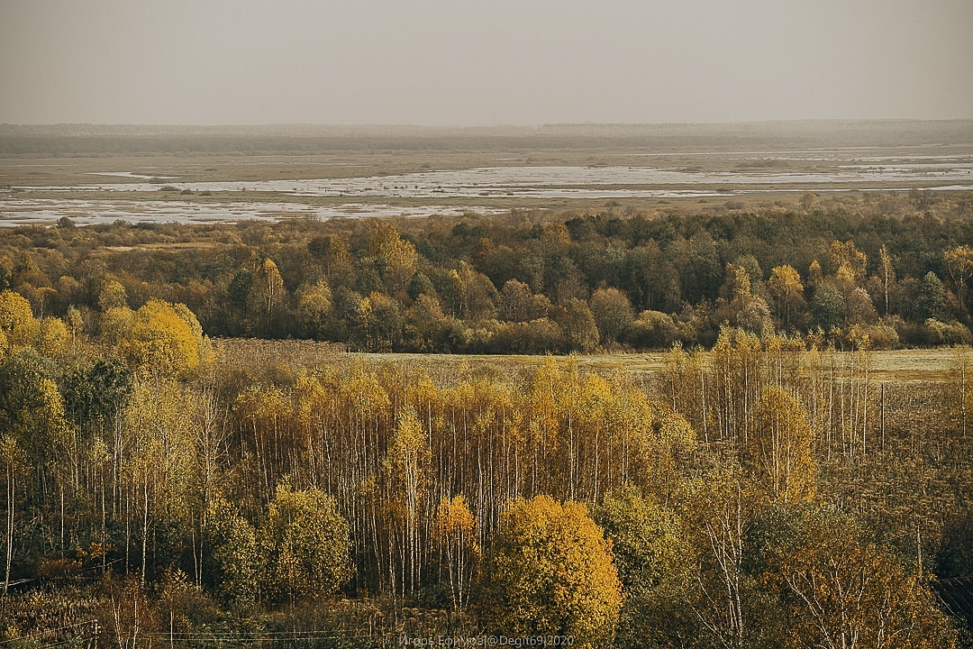 Тверской фотограф поделился кадрами золотой осени в Бежецком районе
