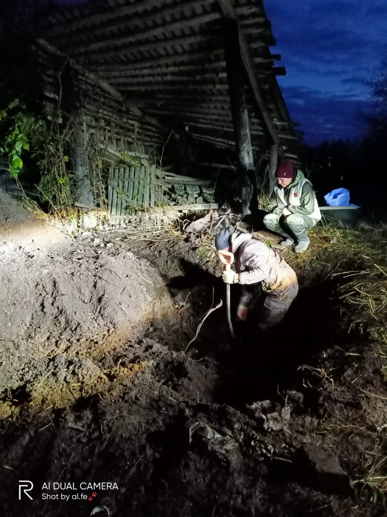 В Тверской области расстрелянных красноармейцев помогла найти немецкая аэрофотосъемка