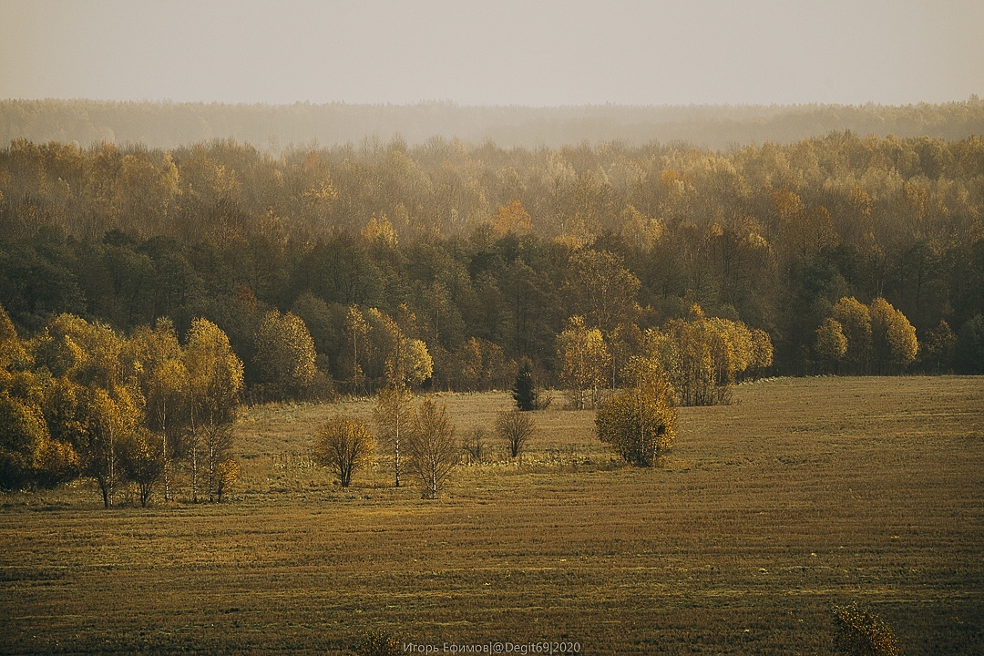 Тверской фотограф поделился кадрами золотой осени в Бежецком районе