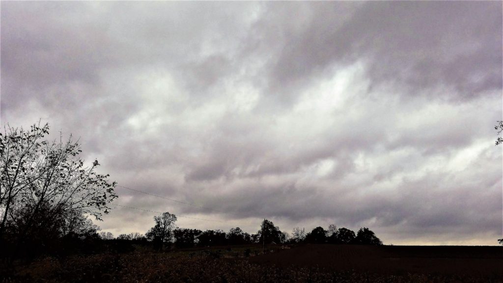 Серое небо накрыло Тверскую область