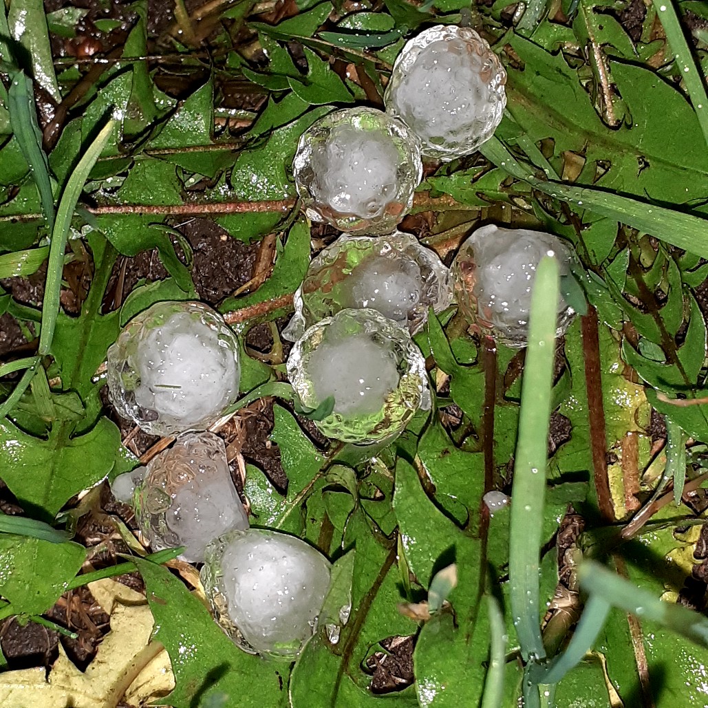 Крупный град выпал в Тверской области