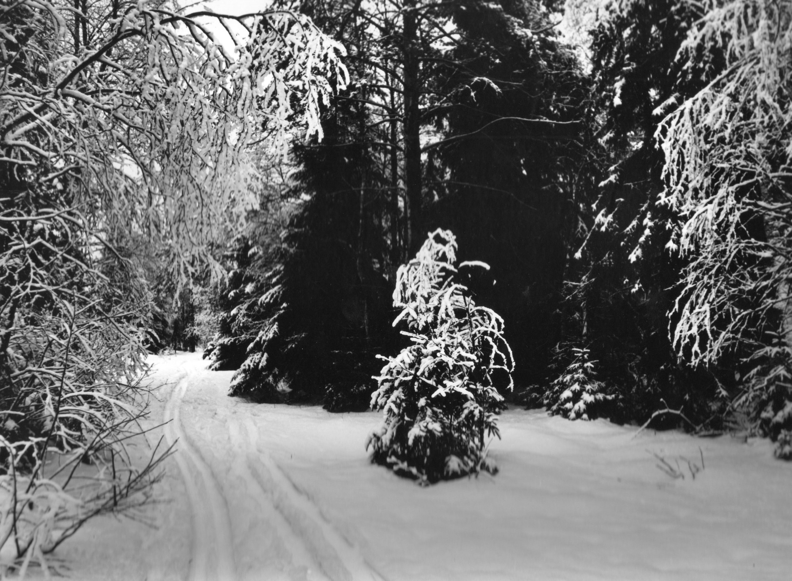 Фотолента "Тверьлайф": урбанистические пейзажи и сельские пасторали