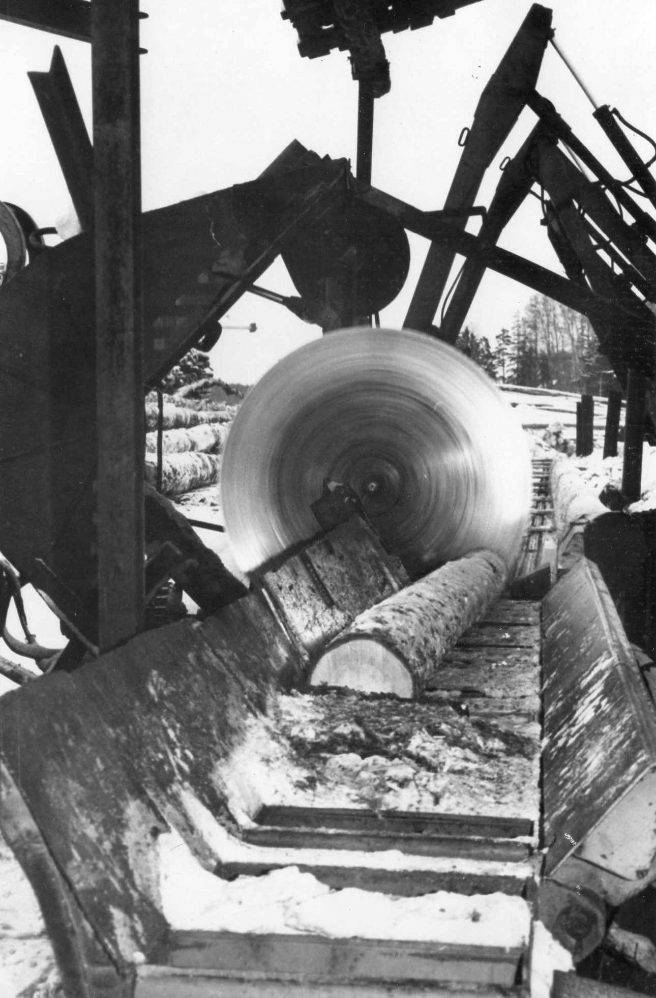 Фотолента "Тверьлайф": трудовой подвиг на архивных снимках