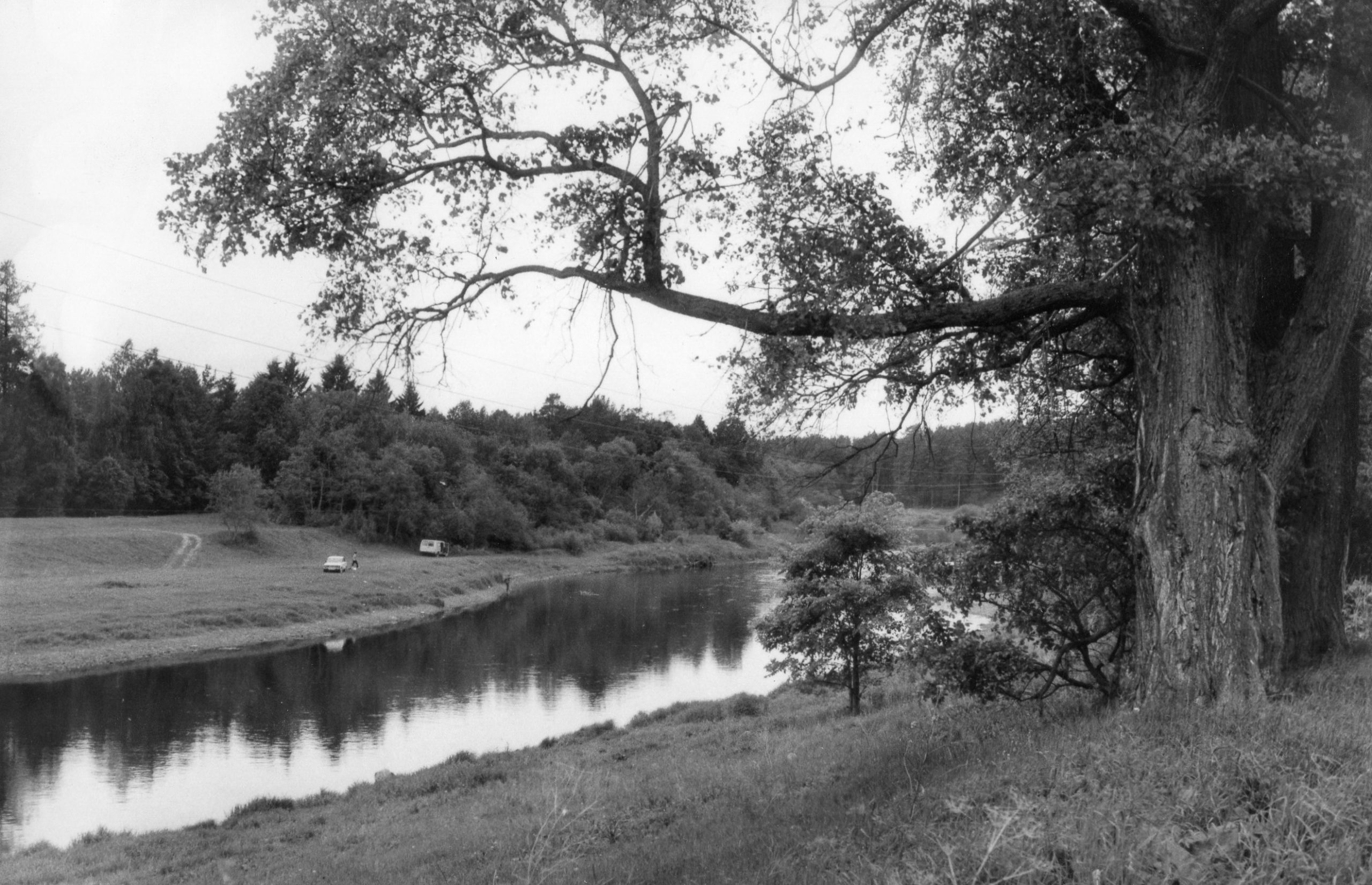 Фотолента "Тверьлайф": урбанистические пейзажи и сельские пасторали