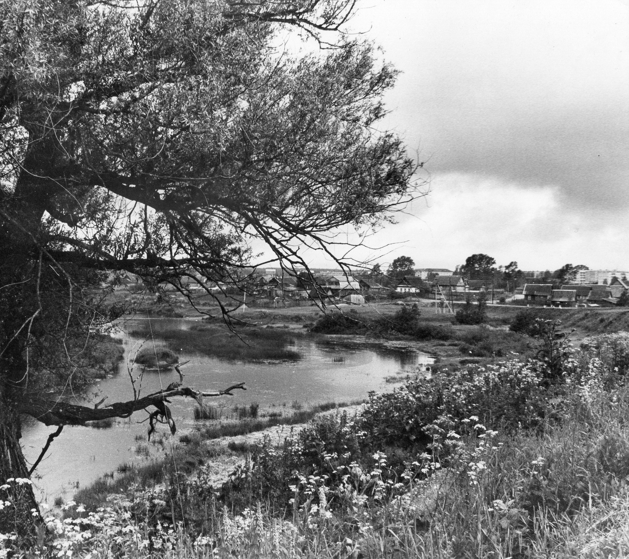 Фотолента "Тверьлайф": урбанистические пейзажи и сельские пасторали