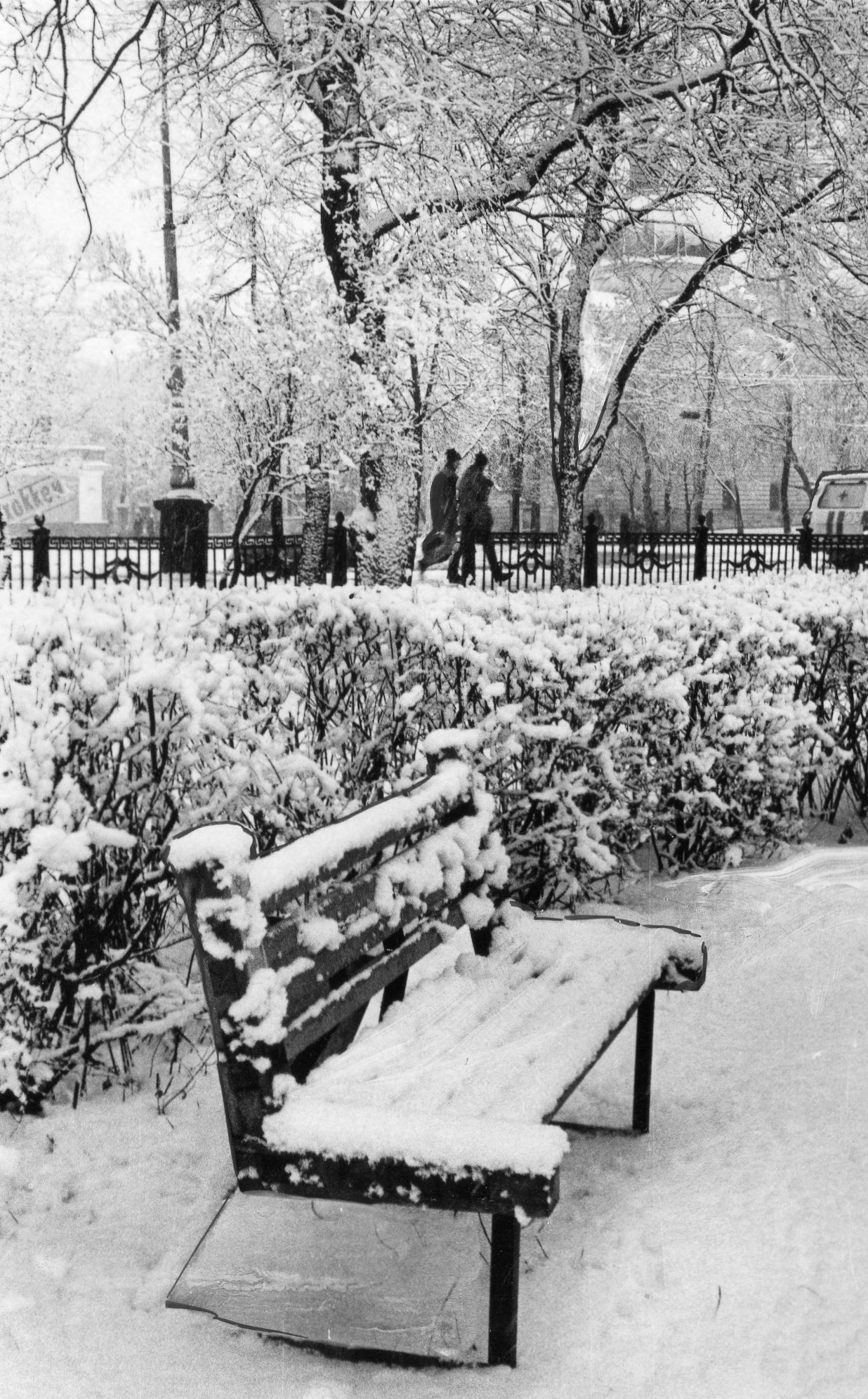 Фотолента "Тверьлайф": урбанистические пейзажи и сельские пасторали