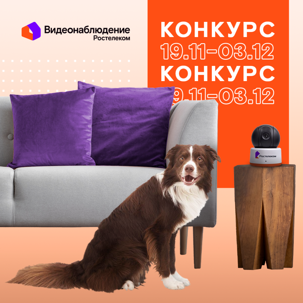 «Ростелеком» открывает конкурс на лучшее фото и видео с участием домашних питомцев «Ростелеком» открывает конкурс на лучшее фото и видео с участием домашних питомцев