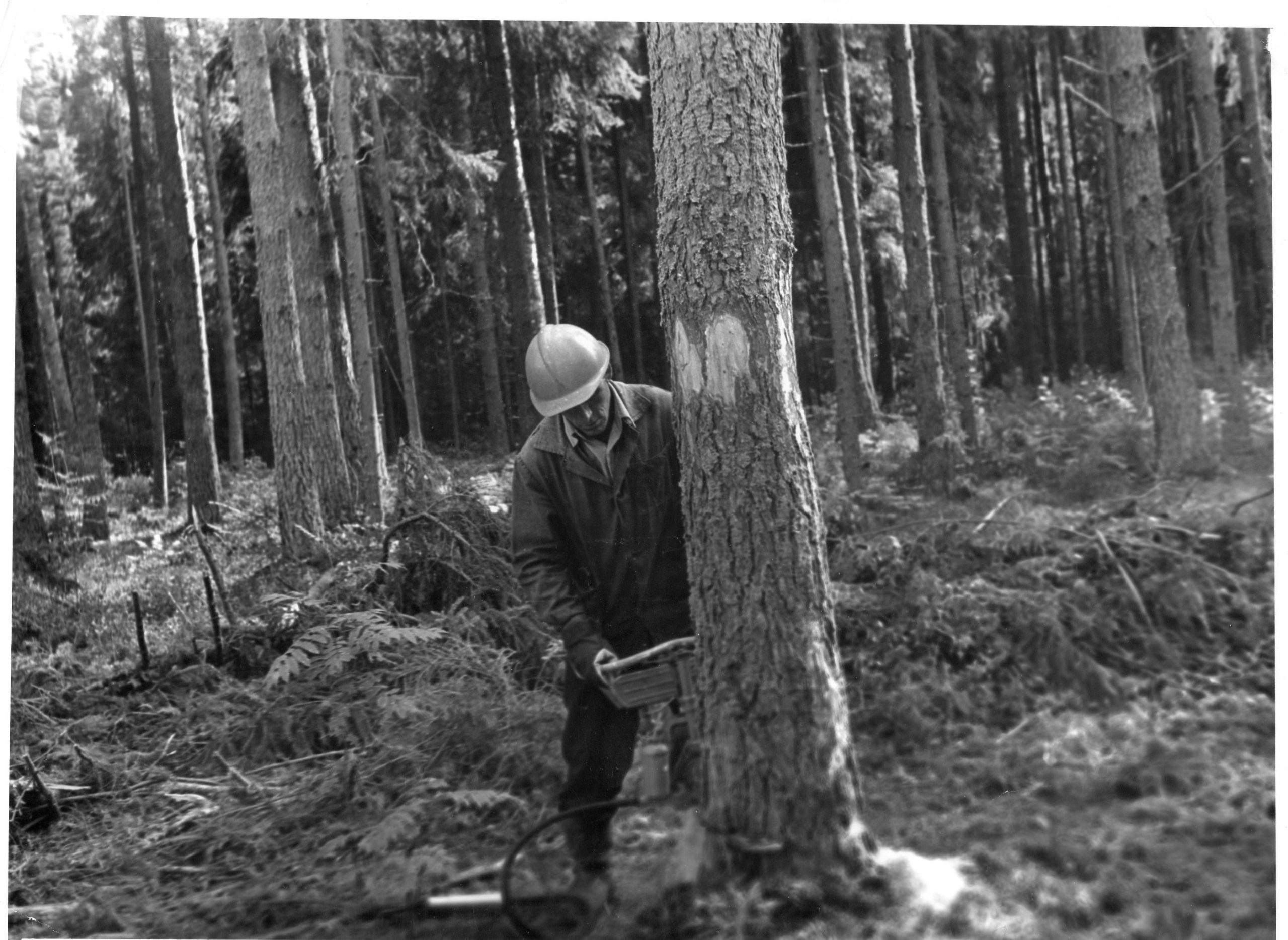 Фотолента "Тверьлайф": трудовой подвиг на архивных снимках