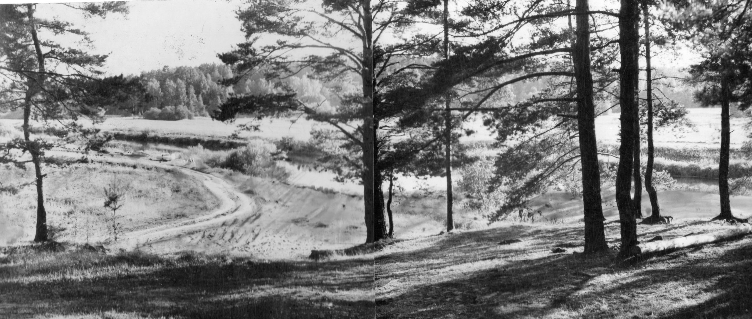 Фотолента "Тверьлайф": урбанистические пейзажи и сельские пасторали