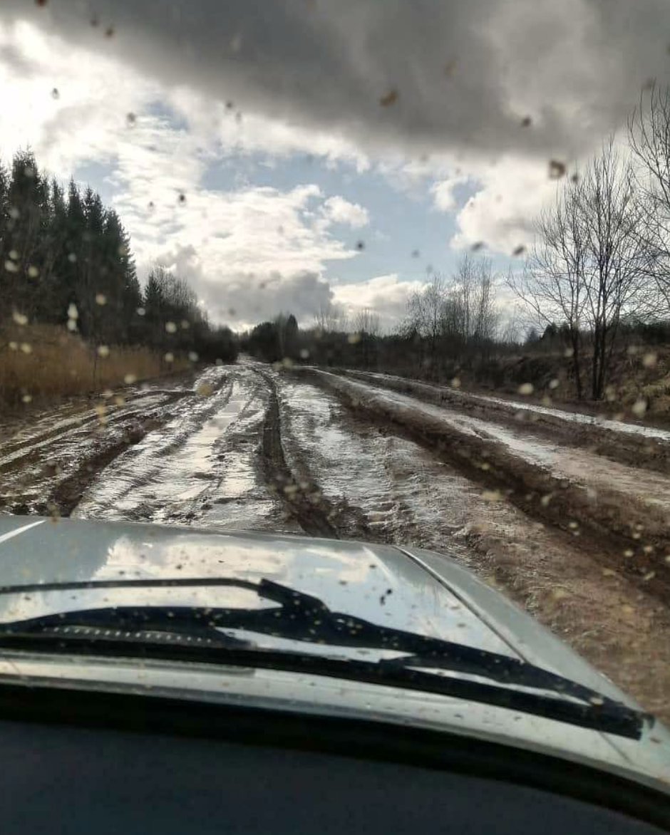 У лужи-инстаграмщицы появились последователи в Торопецком районе