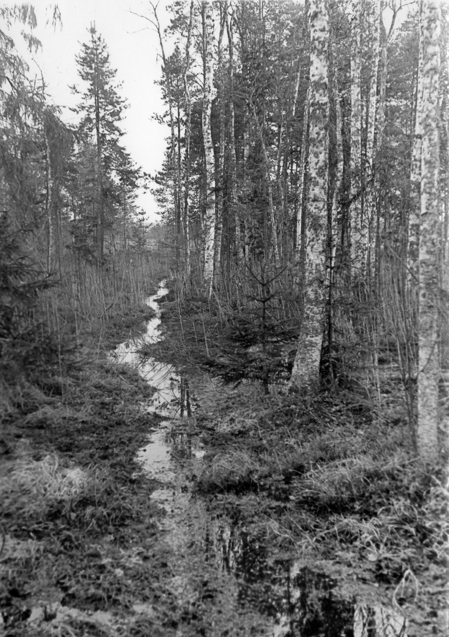Фотолента "Тверьлайф": урбанистические пейзажи и сельские пасторали